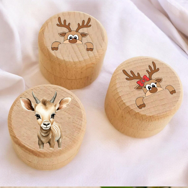 Baby Keepsake Box - Boîte de la Fée des Dents,
